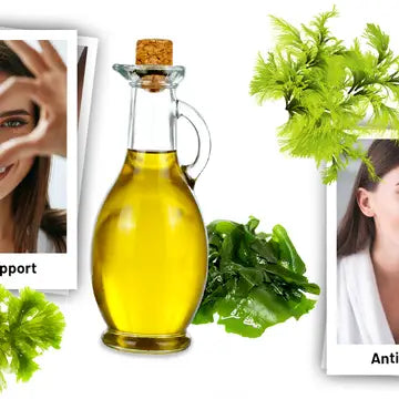 Prowise Omega-3 DHA Vegan din Ulei de Alge | 60 capsule moi (softgels)