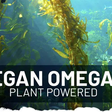 Prowise Omega-3 DHA Vegan din Ulei de Alge | 60 capsule moi (softgels)